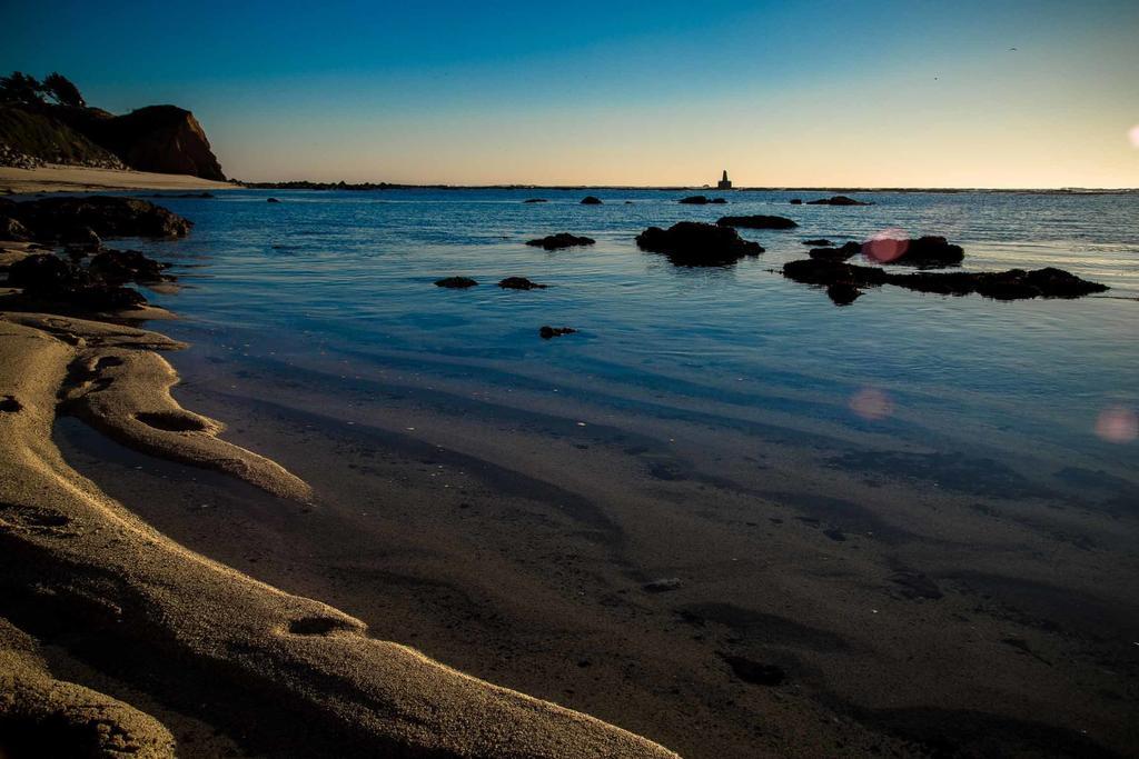 Seal Cove Inn Moss Beach Ngoại thất bức ảnh